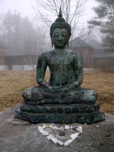 FR Buddha heart mist