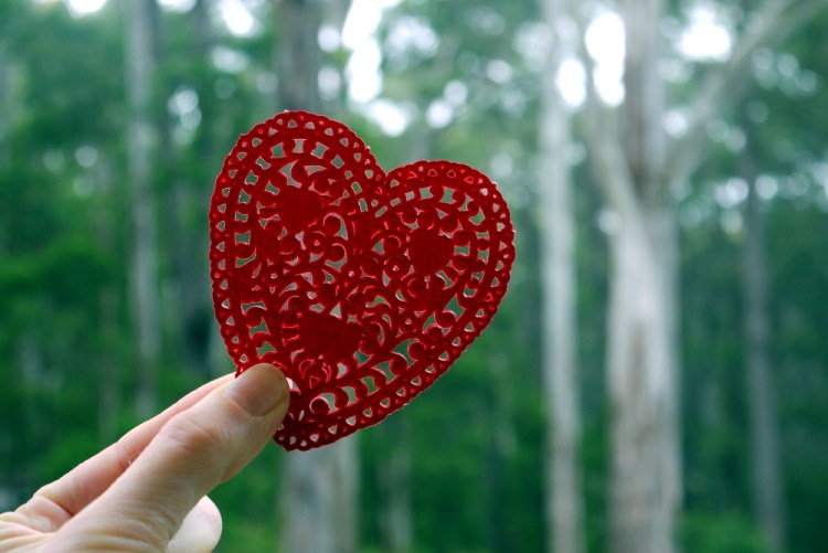 heart forest