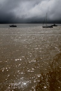 Mangonui harbour boats