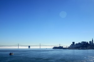 harbour bridge ferry