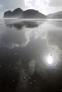 Te Henga - Bethell's Beach reflections