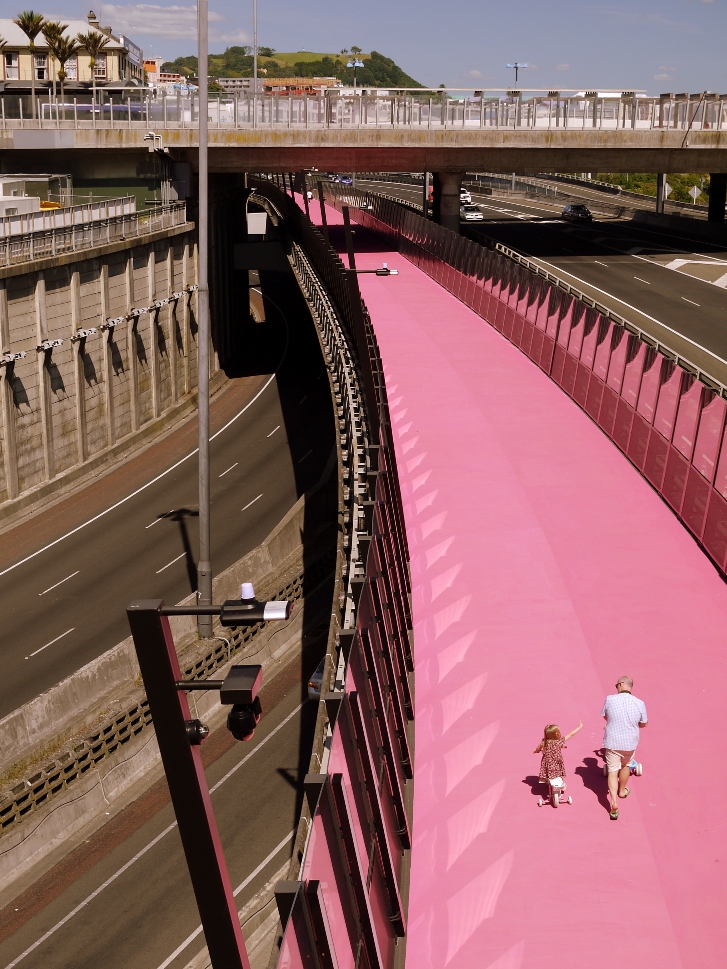 pink bike path 2